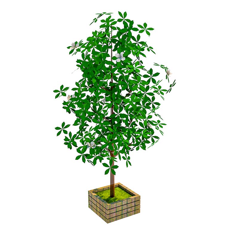 千庫網_室外植物_模板編號4961197